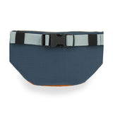 Mountain Waist Pack : Pond Blue/Spice